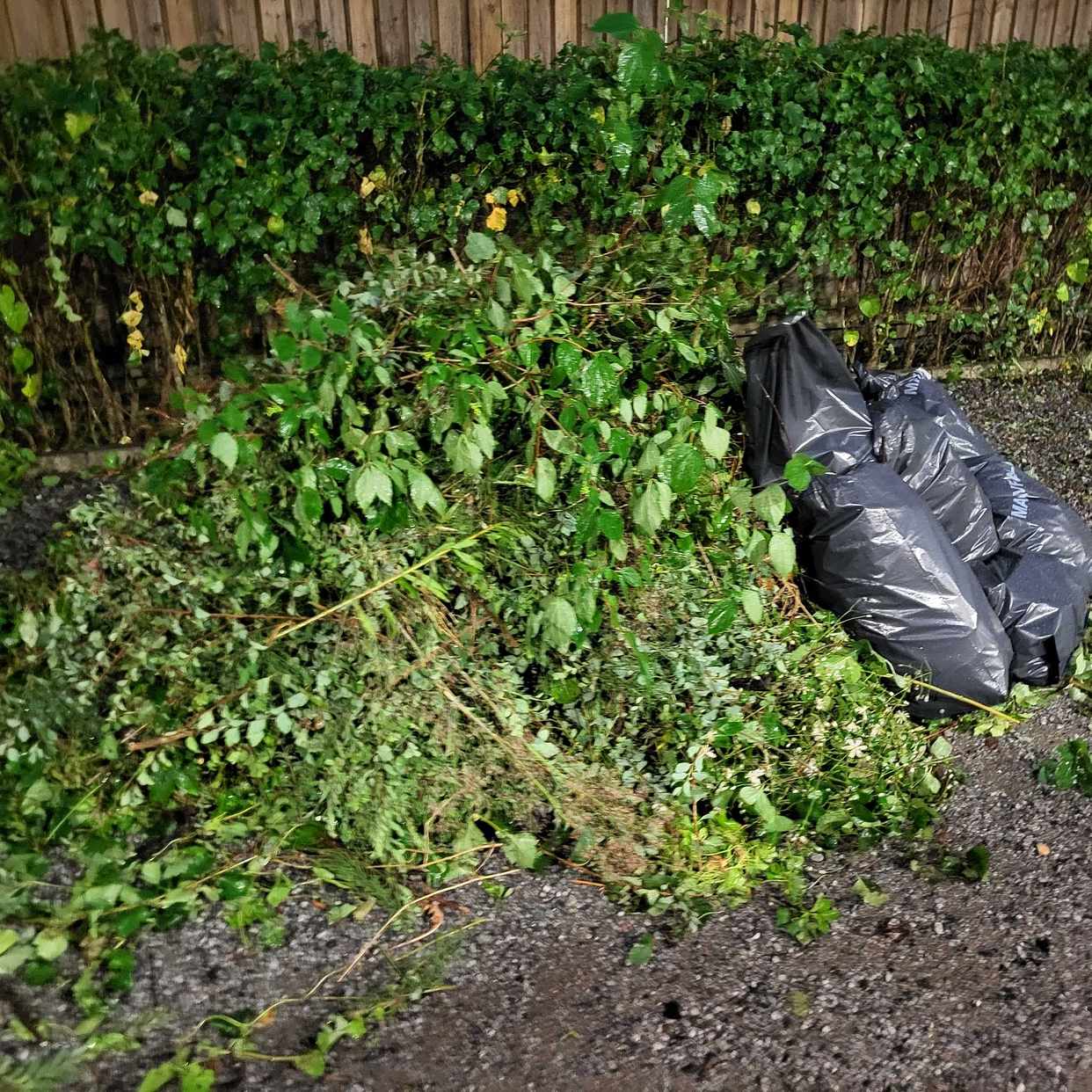 image of Sorterat avfall - Älvsjö