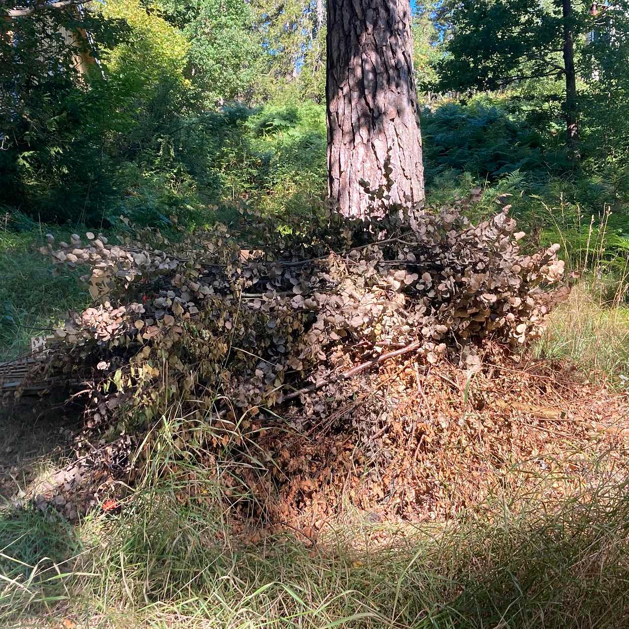 image of Removing and recycling - Värmdö