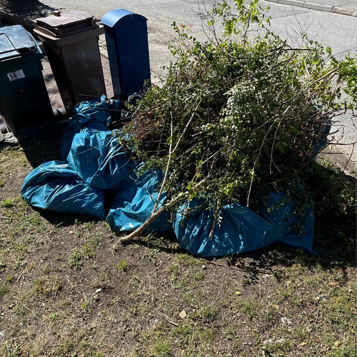image of Slänga trädgårdsavfall - Bromma