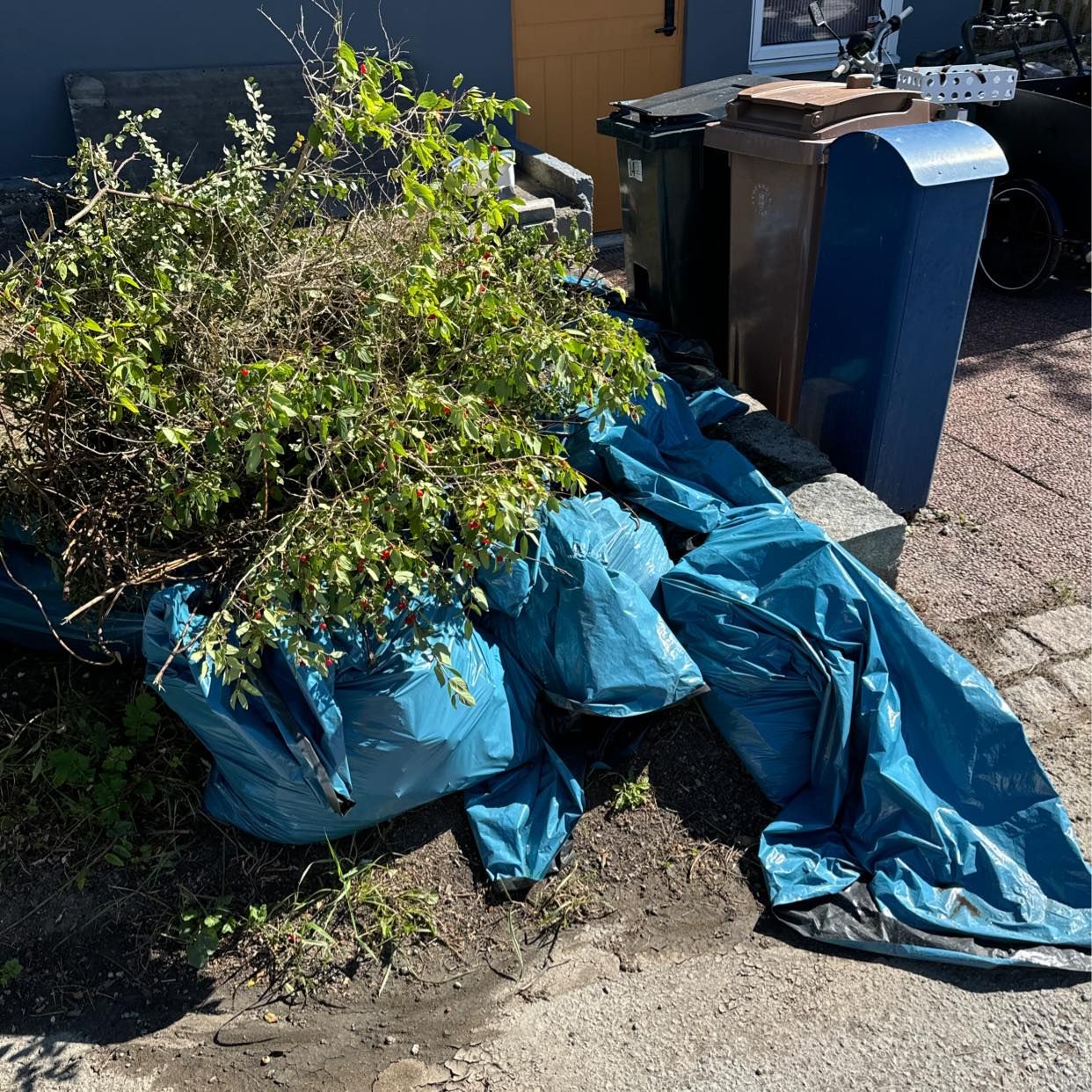 image of Slänga trädgårdsavfall - Bromma