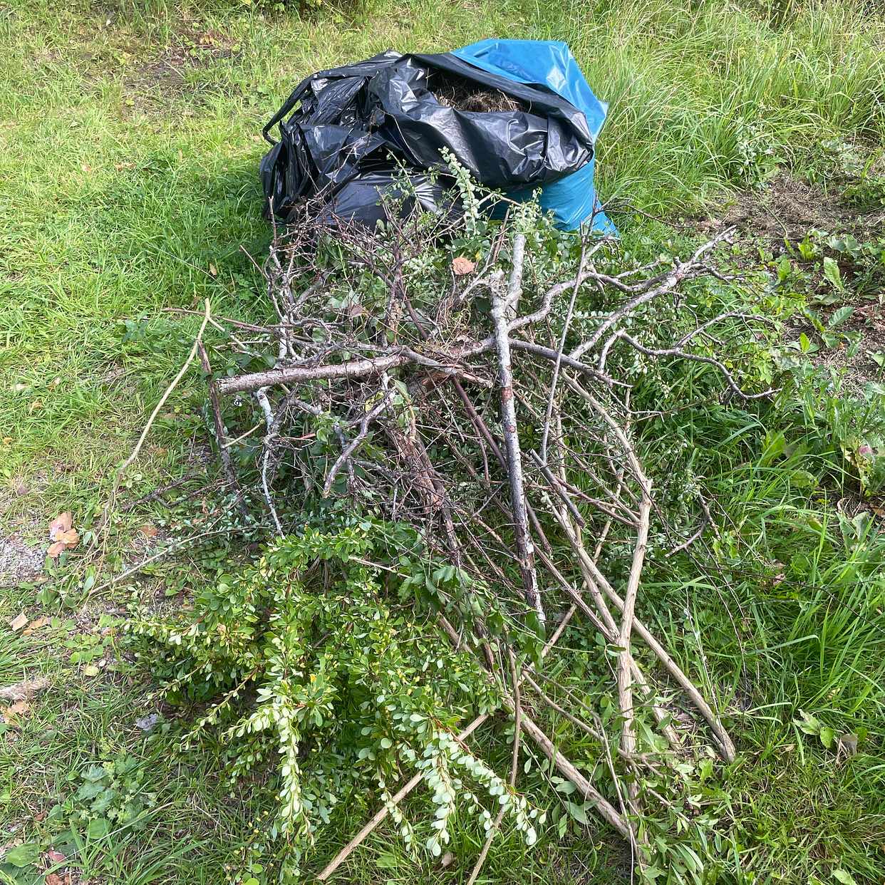 image of Hämta trädgårdsavfall - Skarpnäck