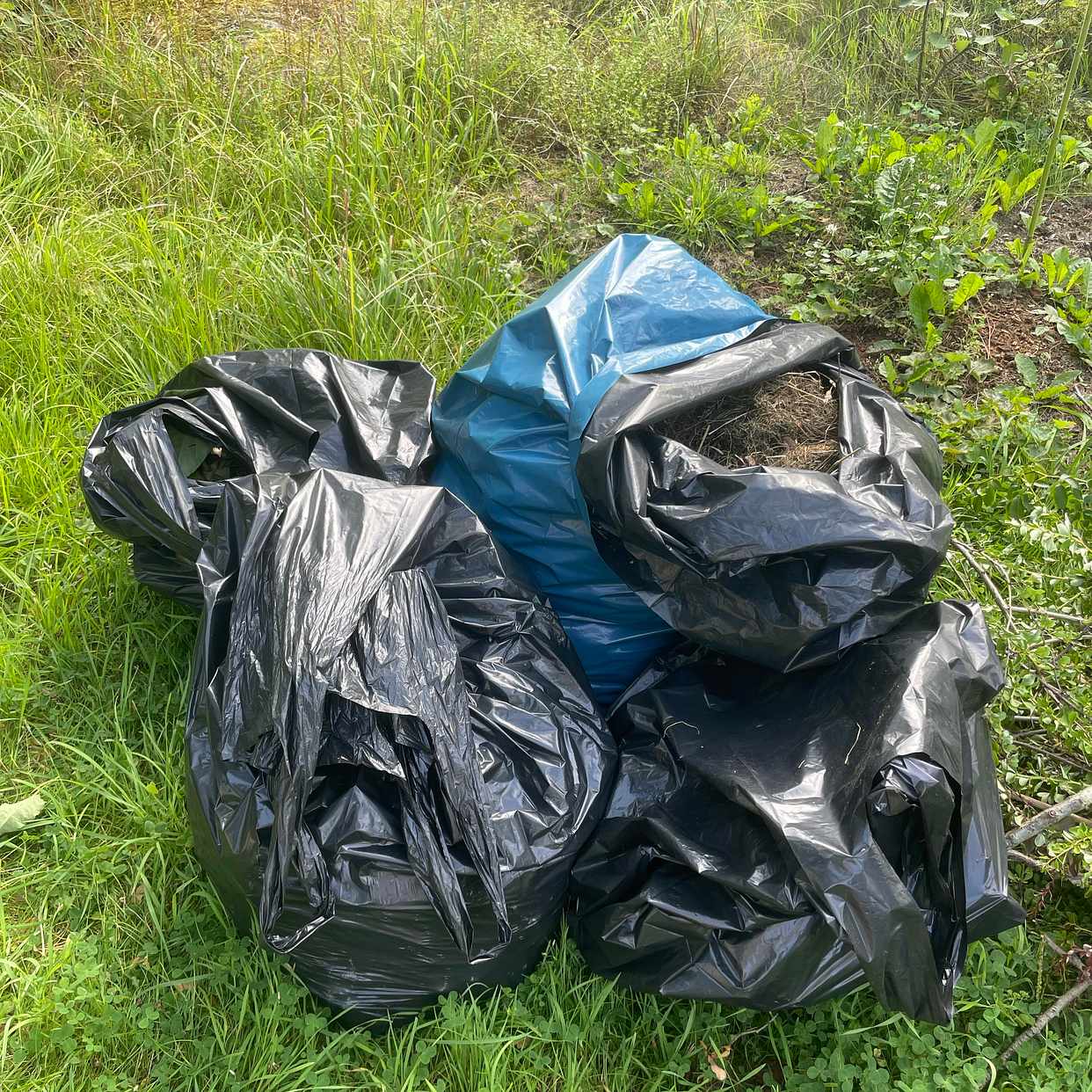 image of Hämta trädgårdsavfall - Skarpnäck