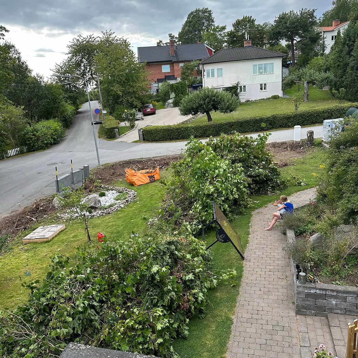 image of Remove cut hedges - Spånga