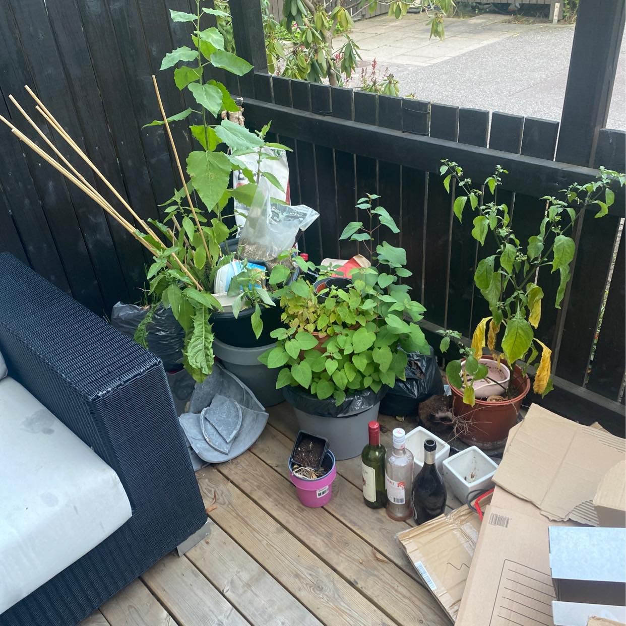 image of Mixed trash - Enskededalen