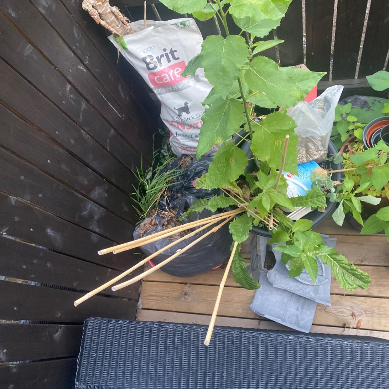 image of Mixed trash - Enskededalen
