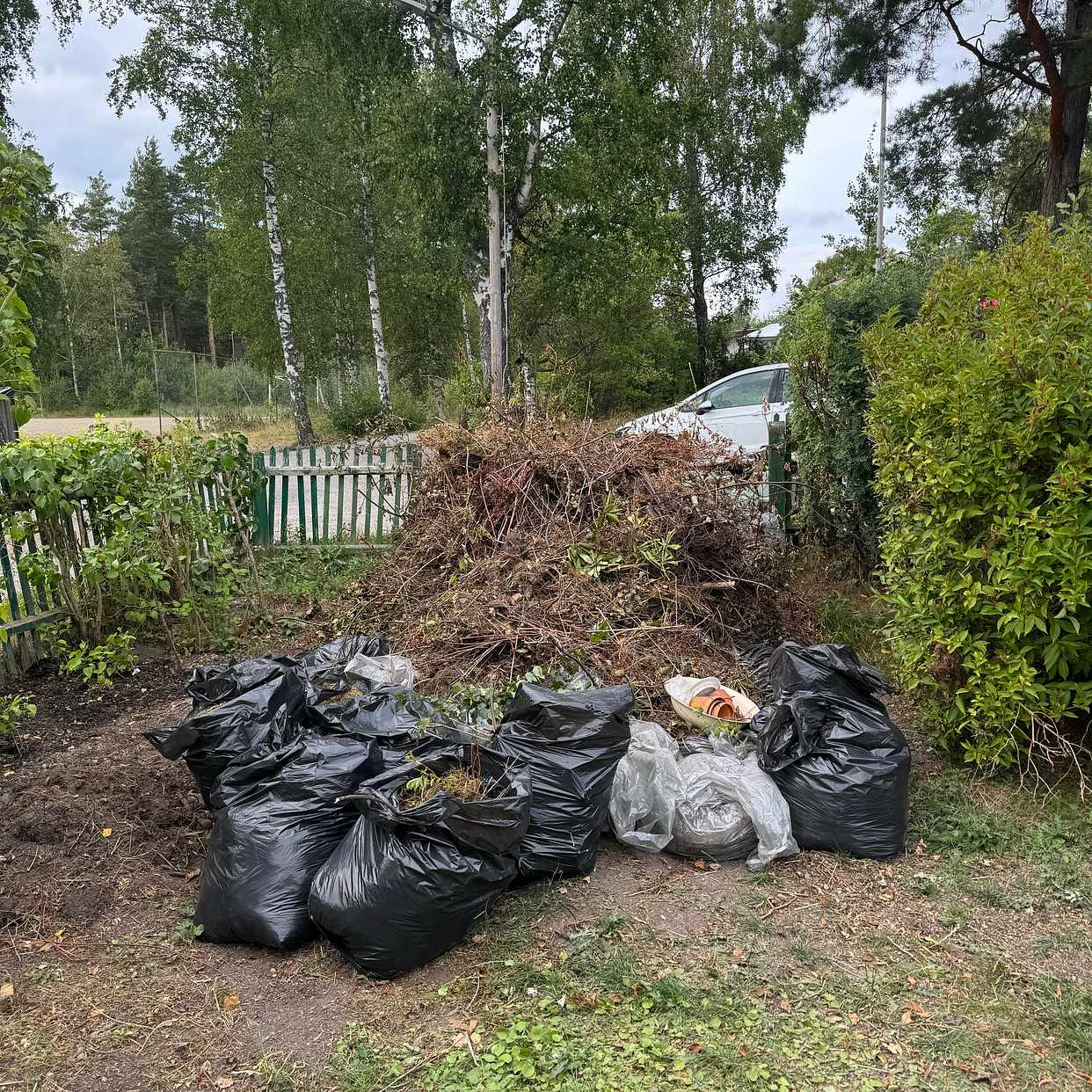 image of Träd och kvistar mm - Årsta Havsbad
