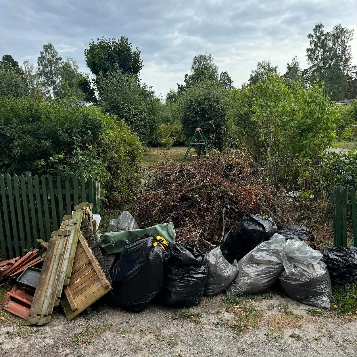 image of Träd och kvistar mm - Årsta Havsbad