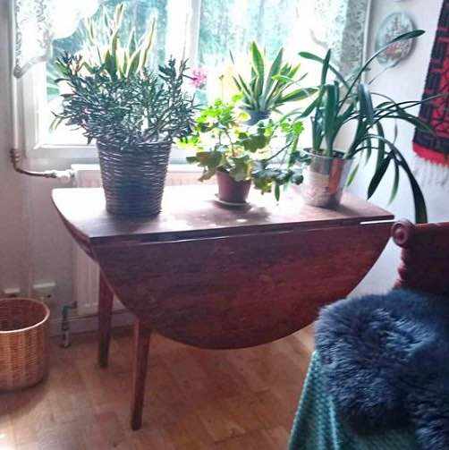 image of köra litet bord 🚘🌸 - 