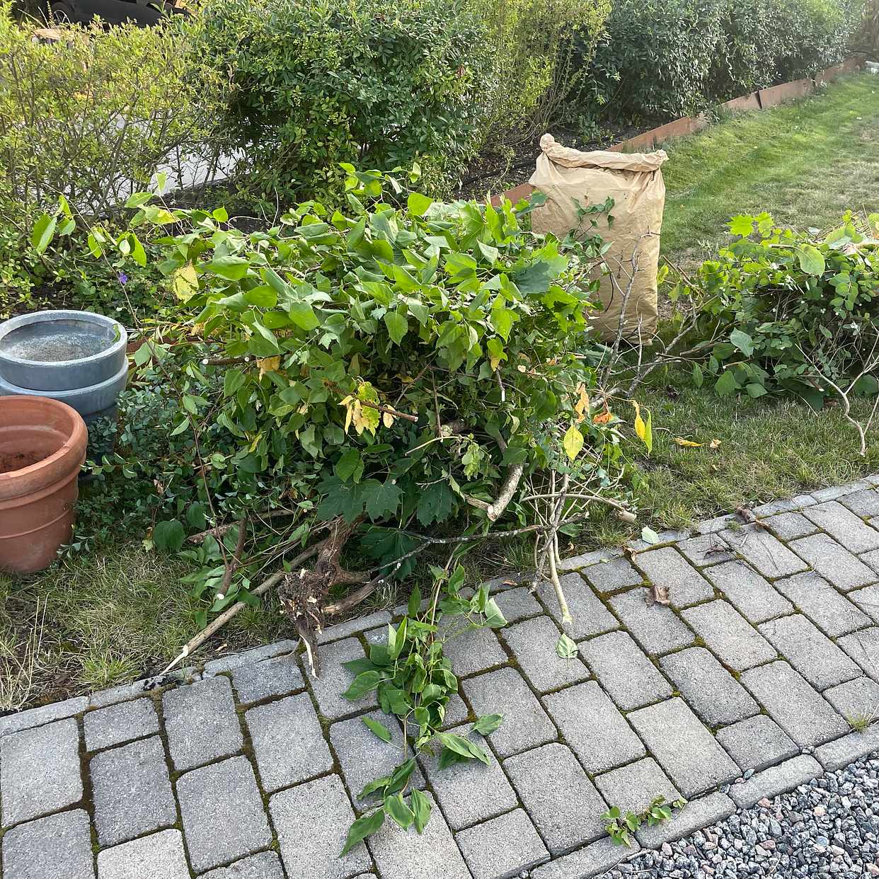 image of Slänga trädgårdsavfall - Lidingö