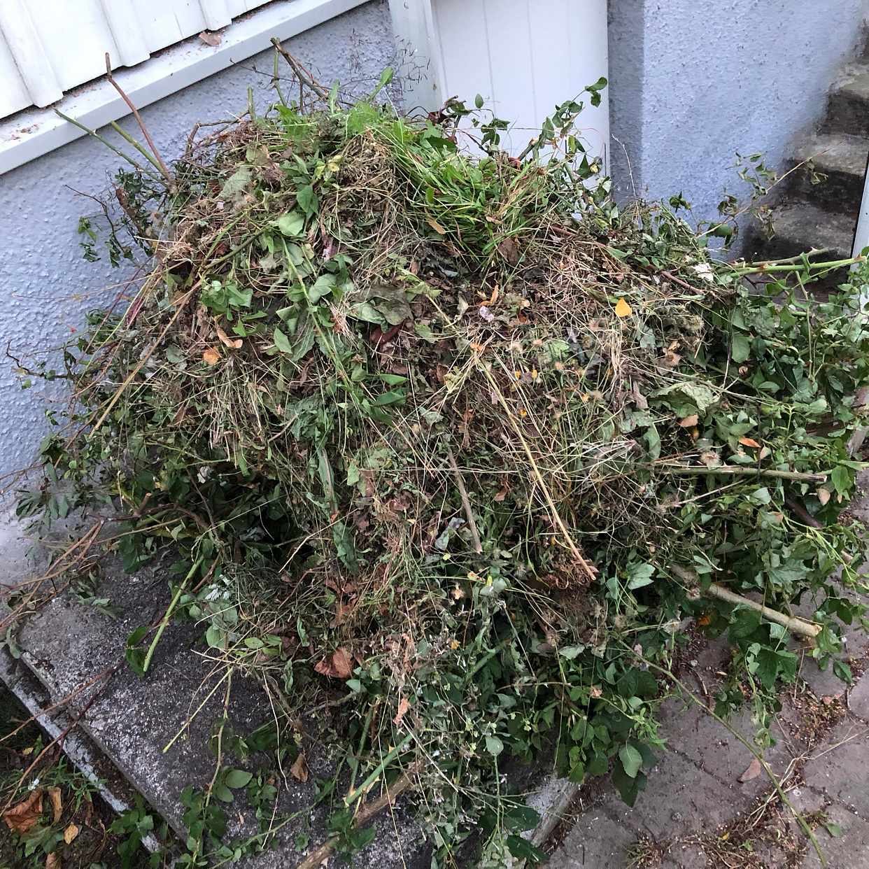 image of Hämta och slänga/återvinn - Skarpnäck