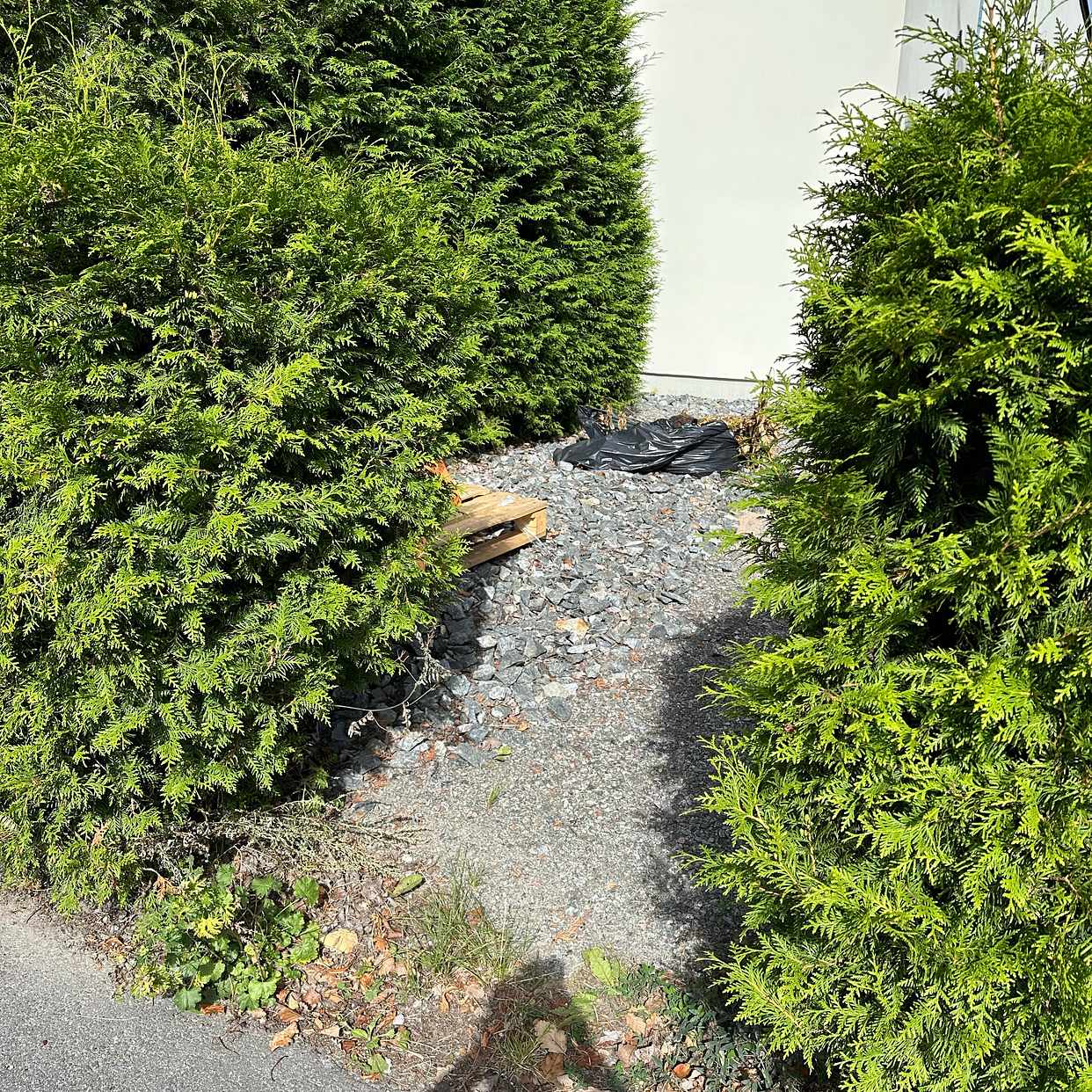 image of 4 plastpåsar till återvin - Lidingö