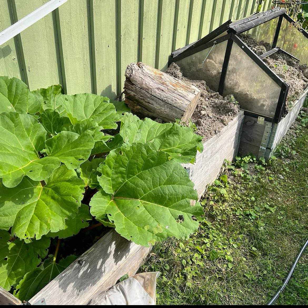 image of Wooden pallets + soil - Upplands Väsby