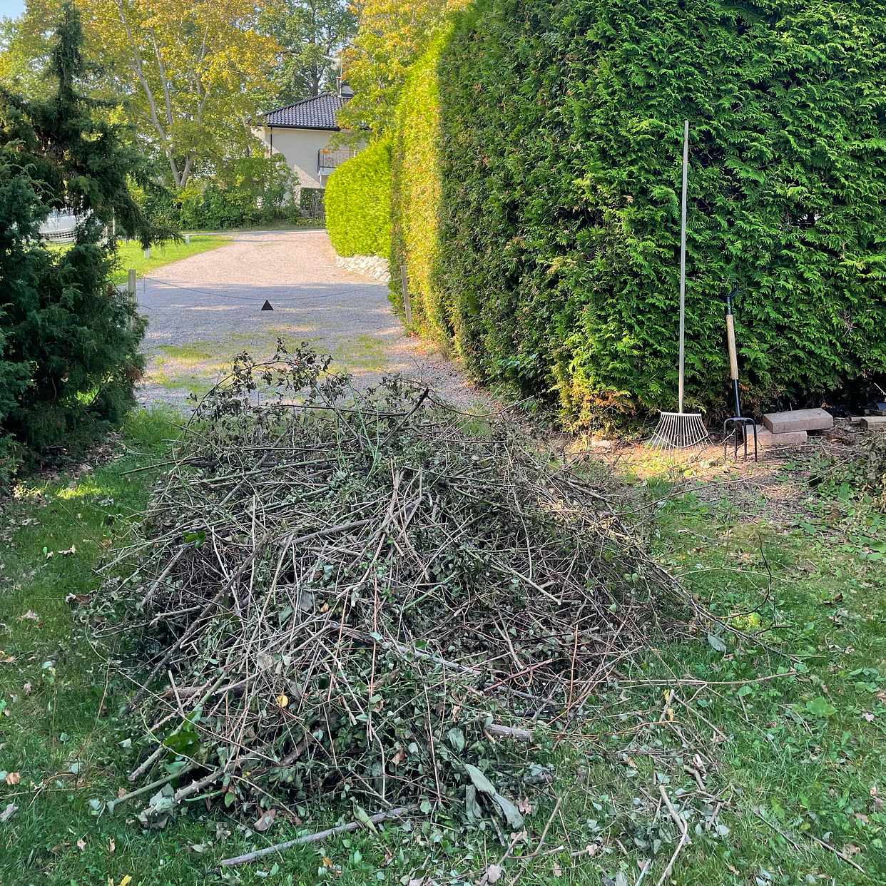 image of Hämta trädgårdsavfall - Danderyd