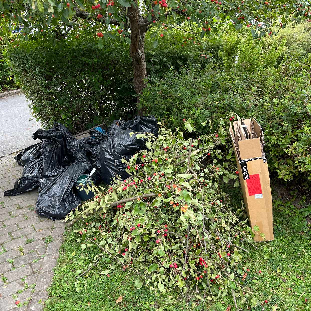 image of Recycling - Bromma