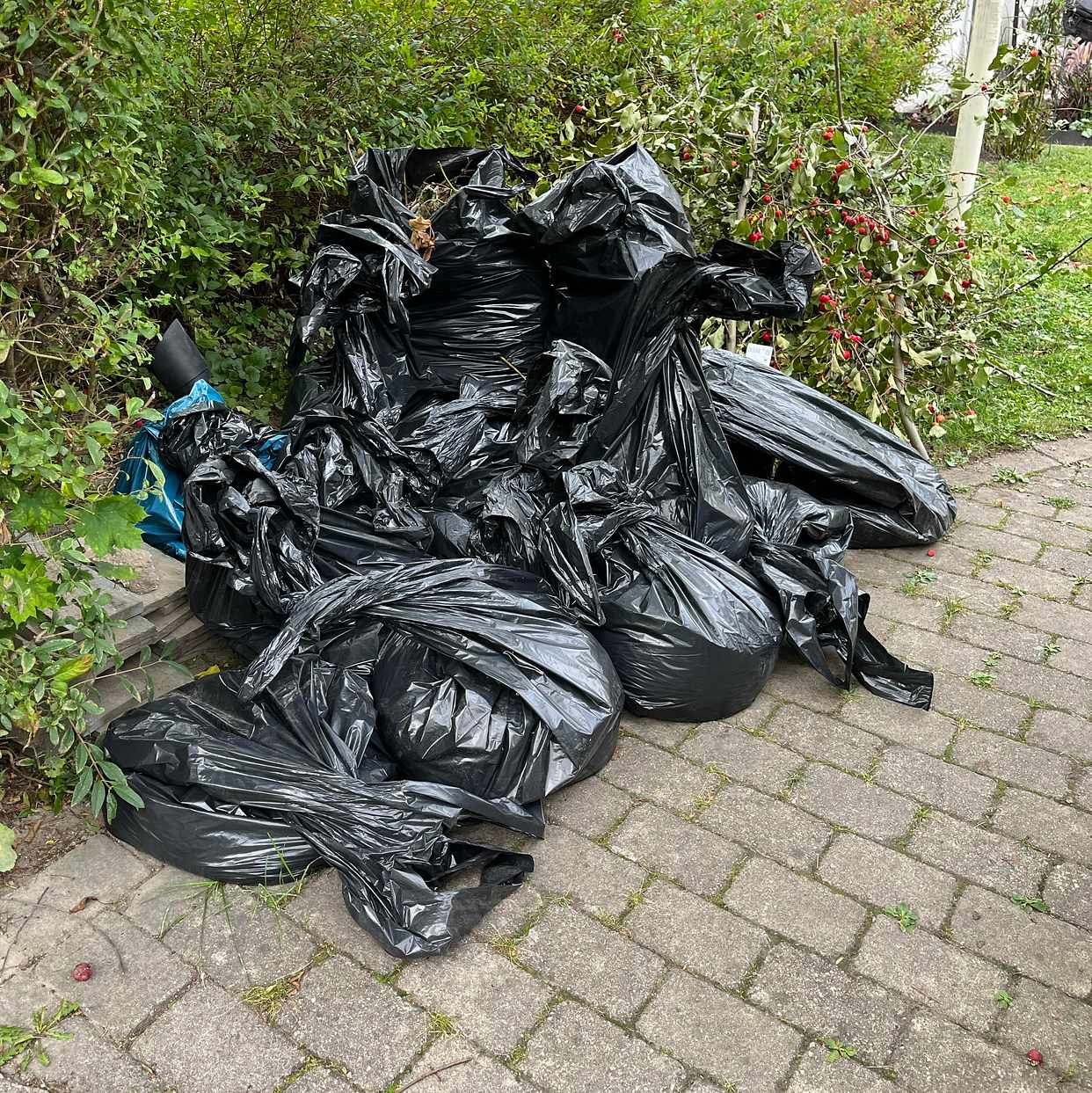 image of Recycling - Bromma