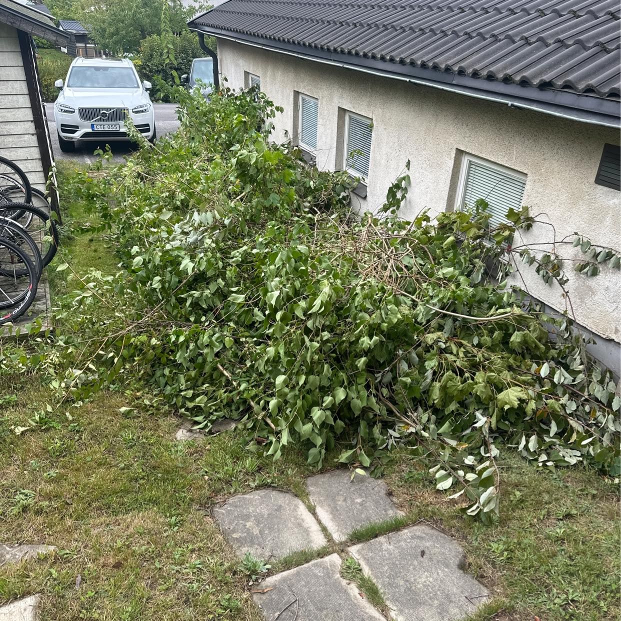 image of Kasta kvistar och grenar - Tyresö