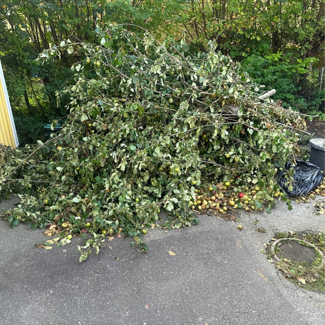 image of Trädgårdsavfall - Tyresö