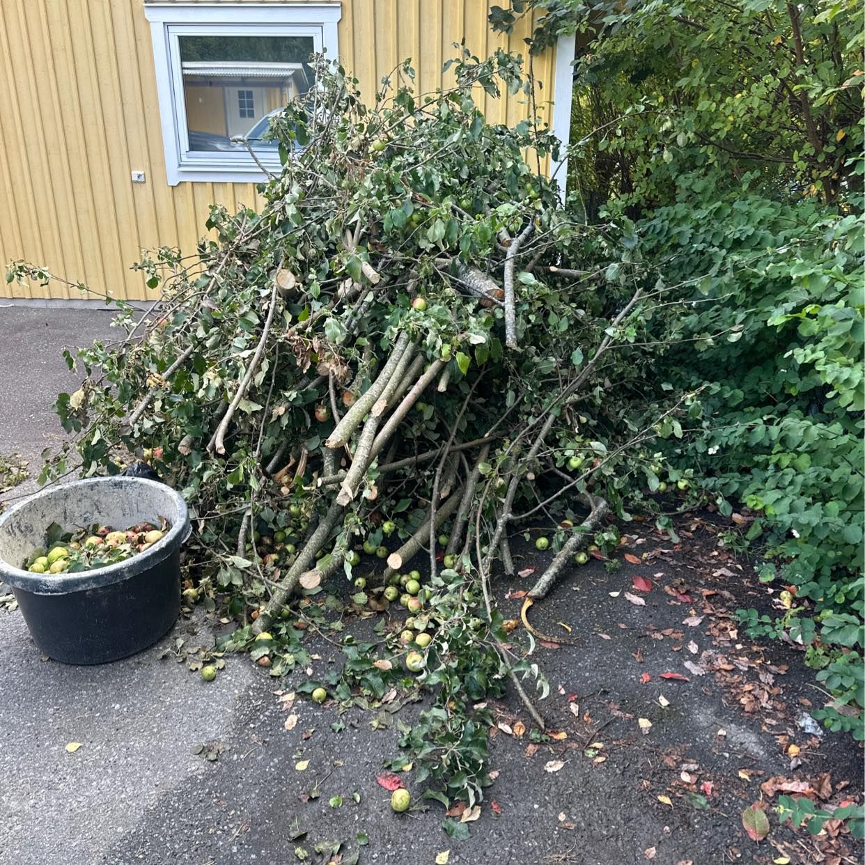 image of Trädgårdsavfall - Tyresö