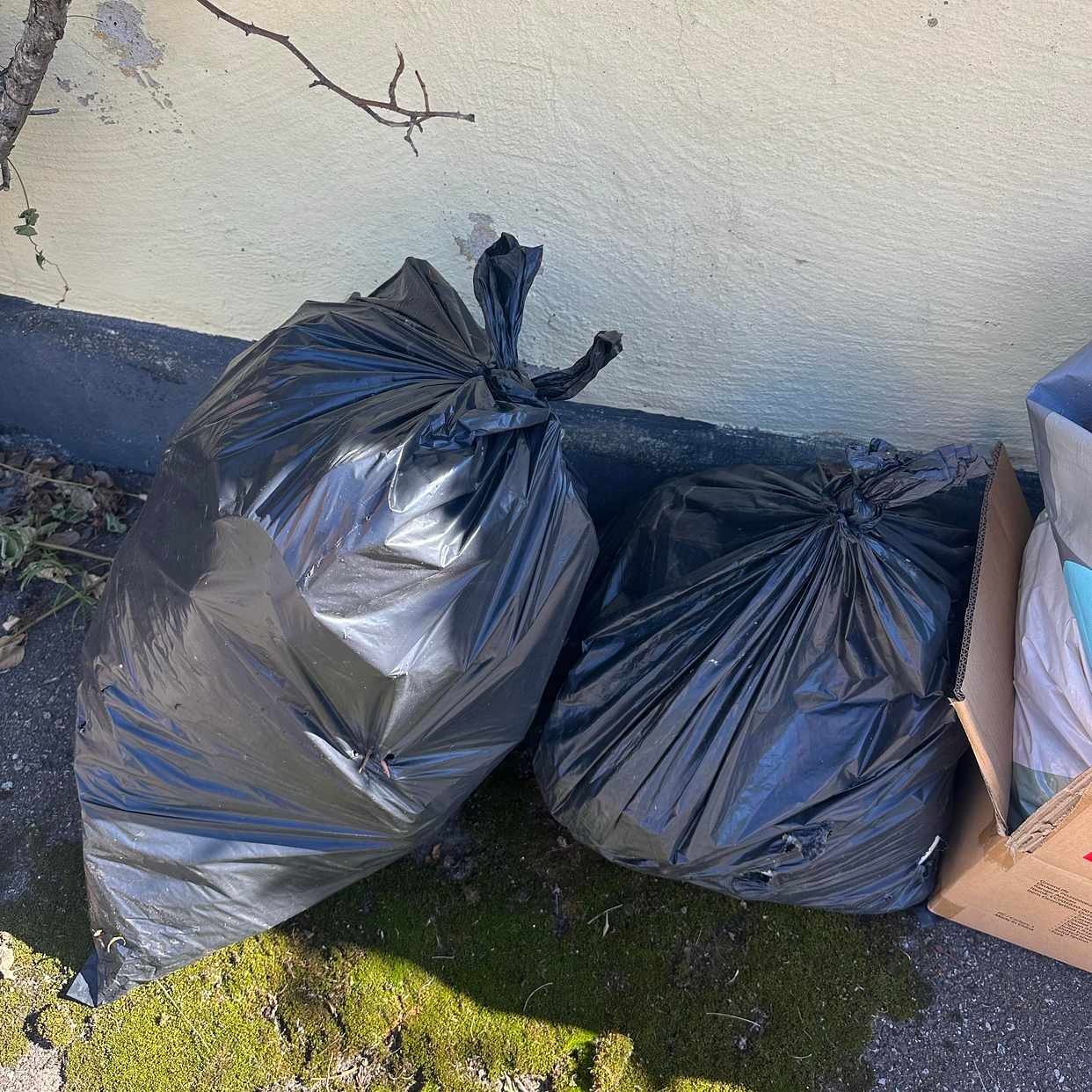 image of Clothes, gardenwaste - Malmö