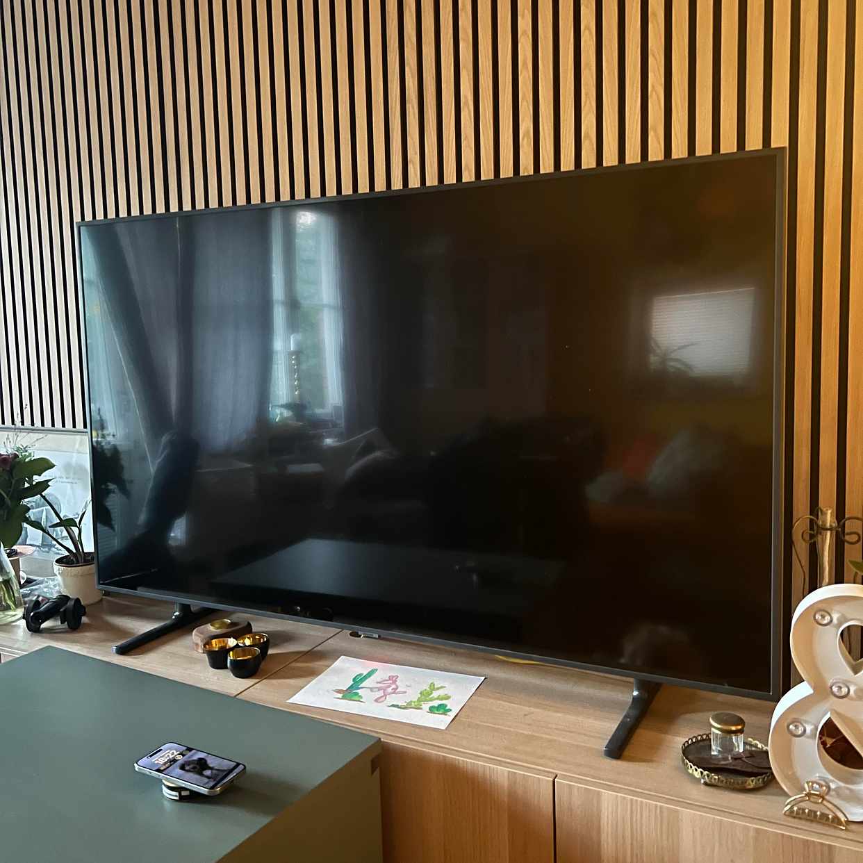 image of Leverans TV och stor växt - 