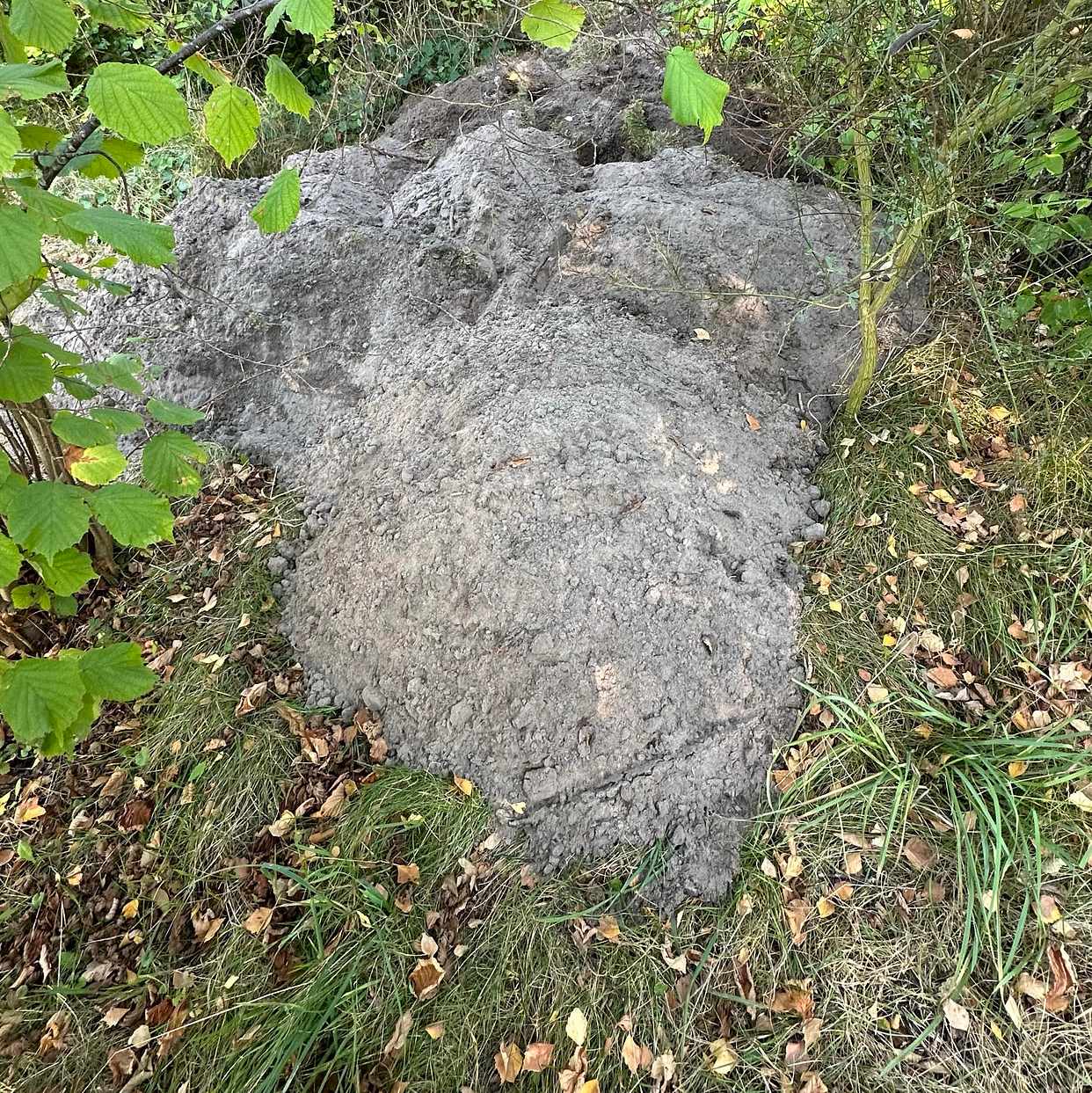 image of Jord och lastpallar - Beddingestrand