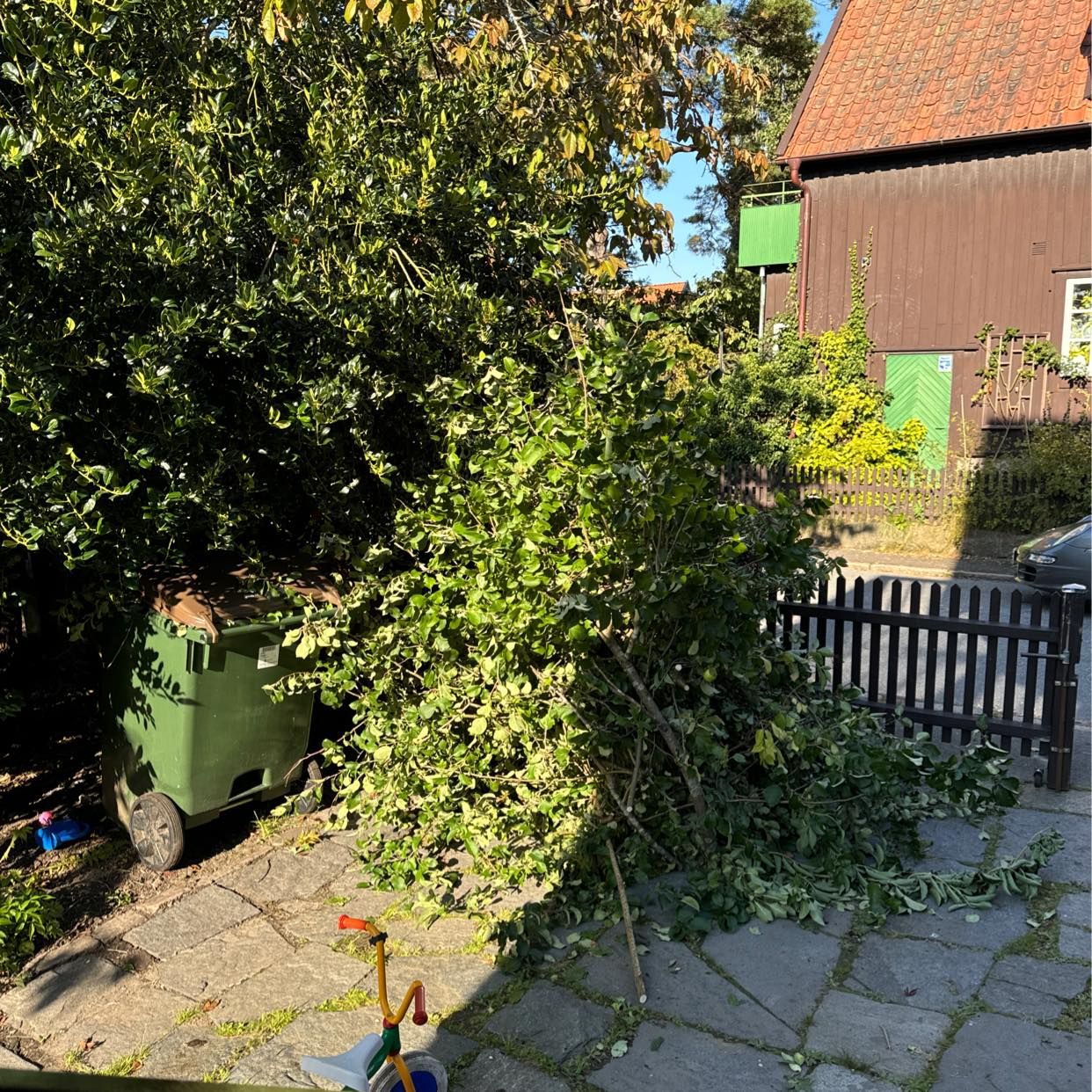 image of Trädgårdsrens - Göteborg