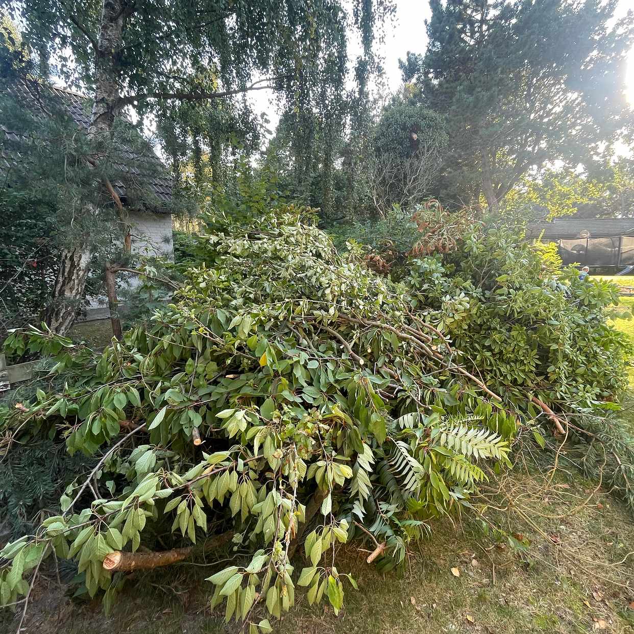 image of Trädgårdsavfall - Stora Hammar