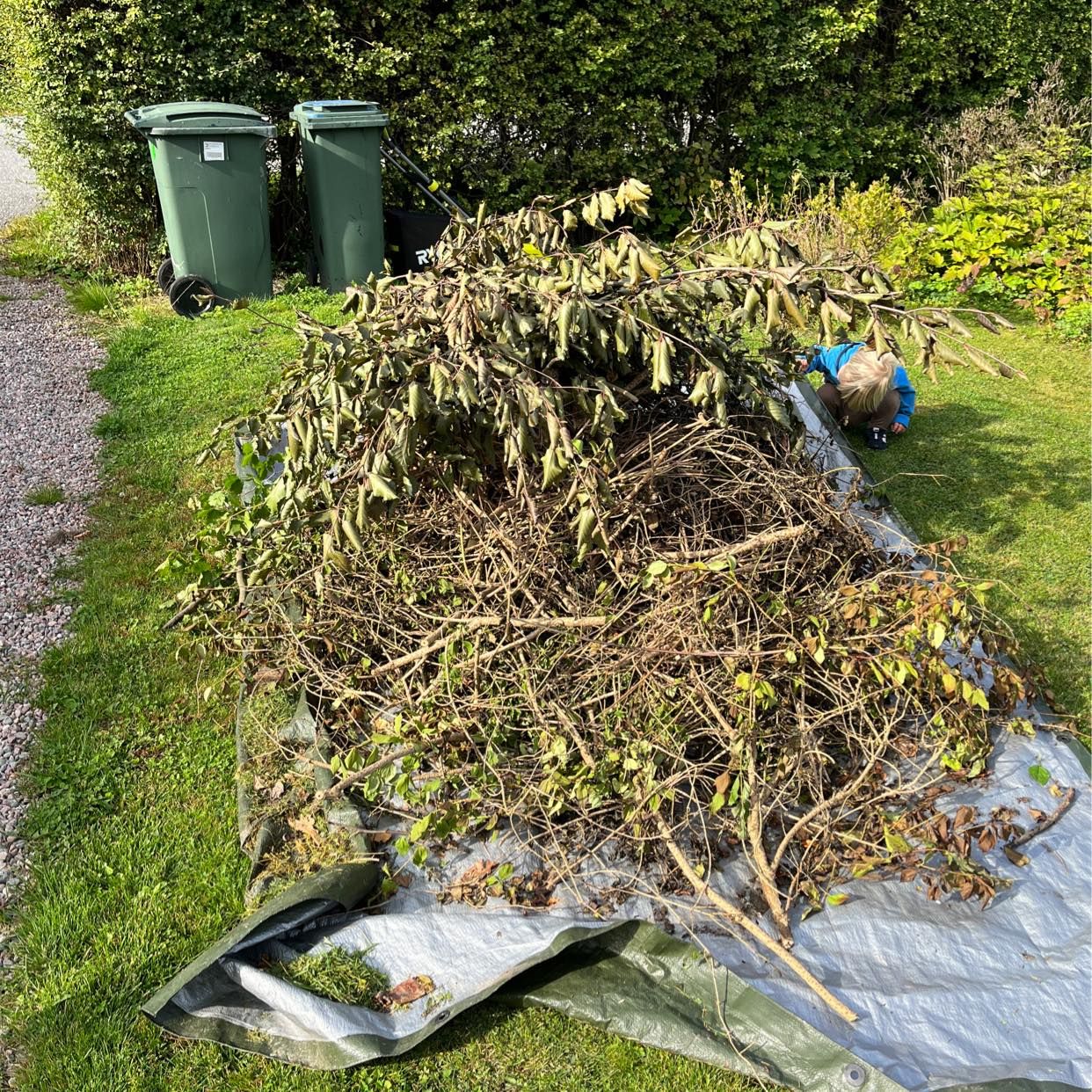 image of Stones, waste, bushes - Djursholm