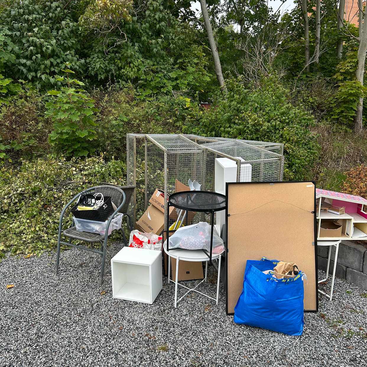 image of Björkkvistar samt höstren - Åkersberga