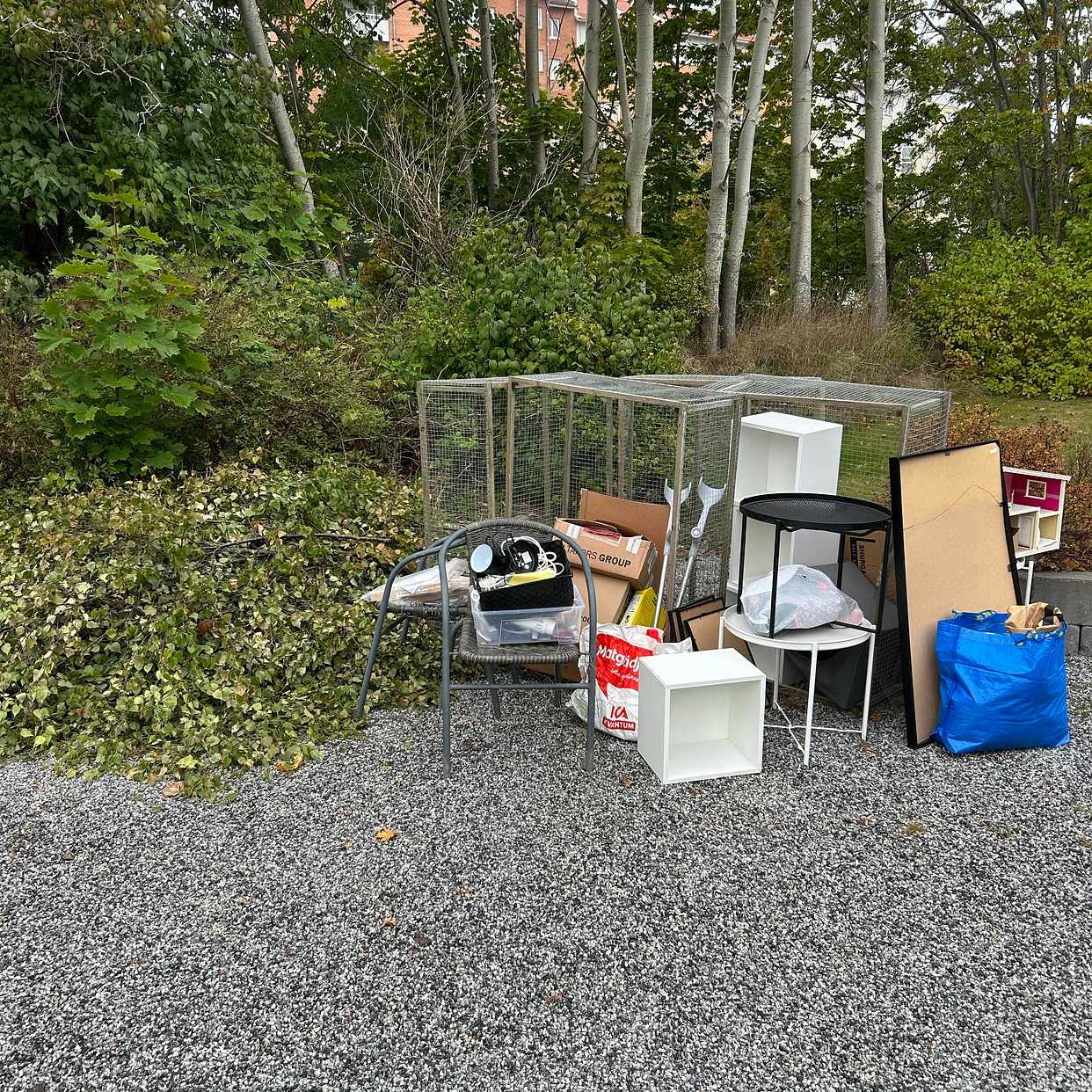 image of Björkkvistar samt höstren - Åkersberga