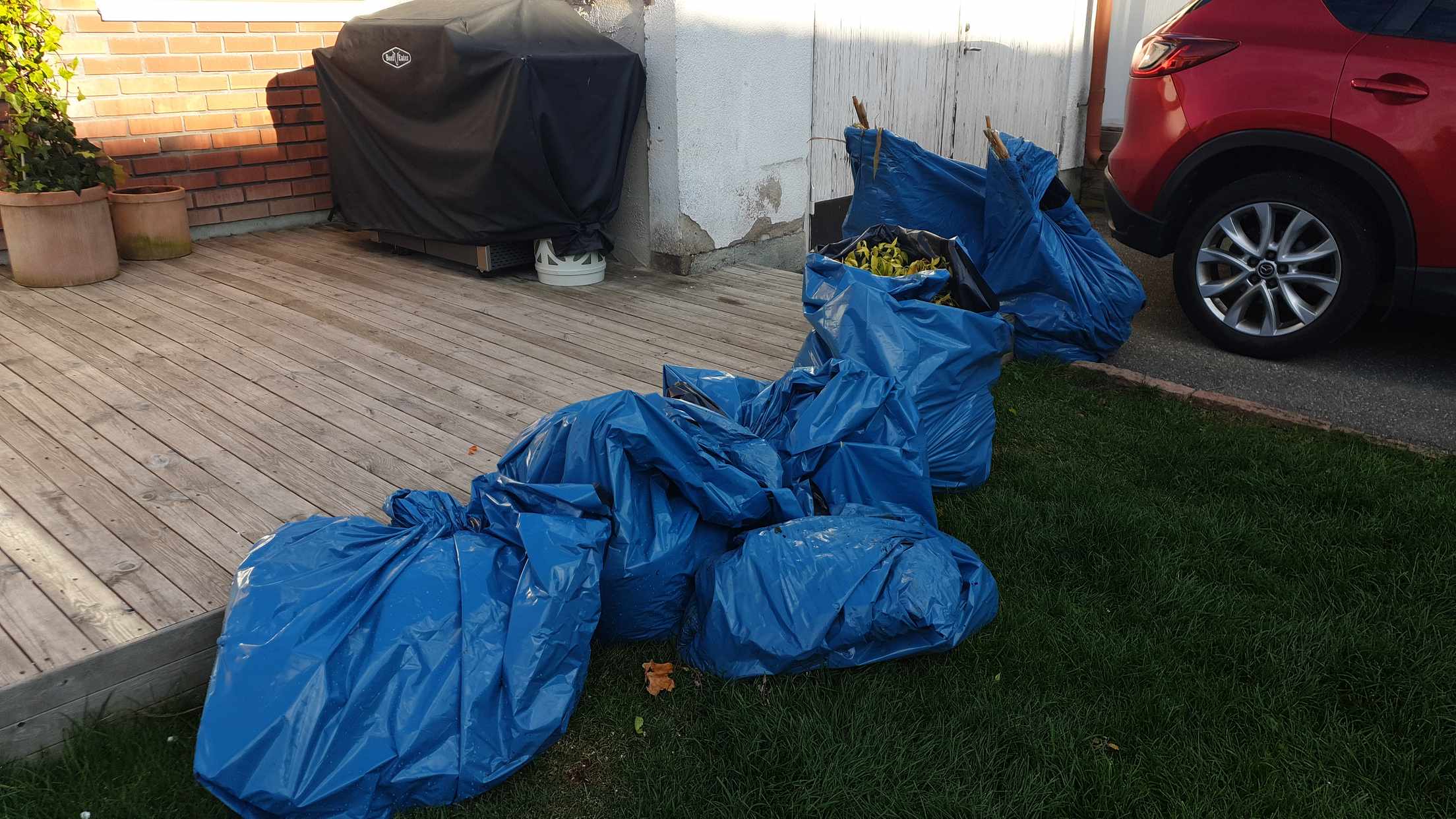 image of Trädgårdsavfall i sopsäck - Huddinge