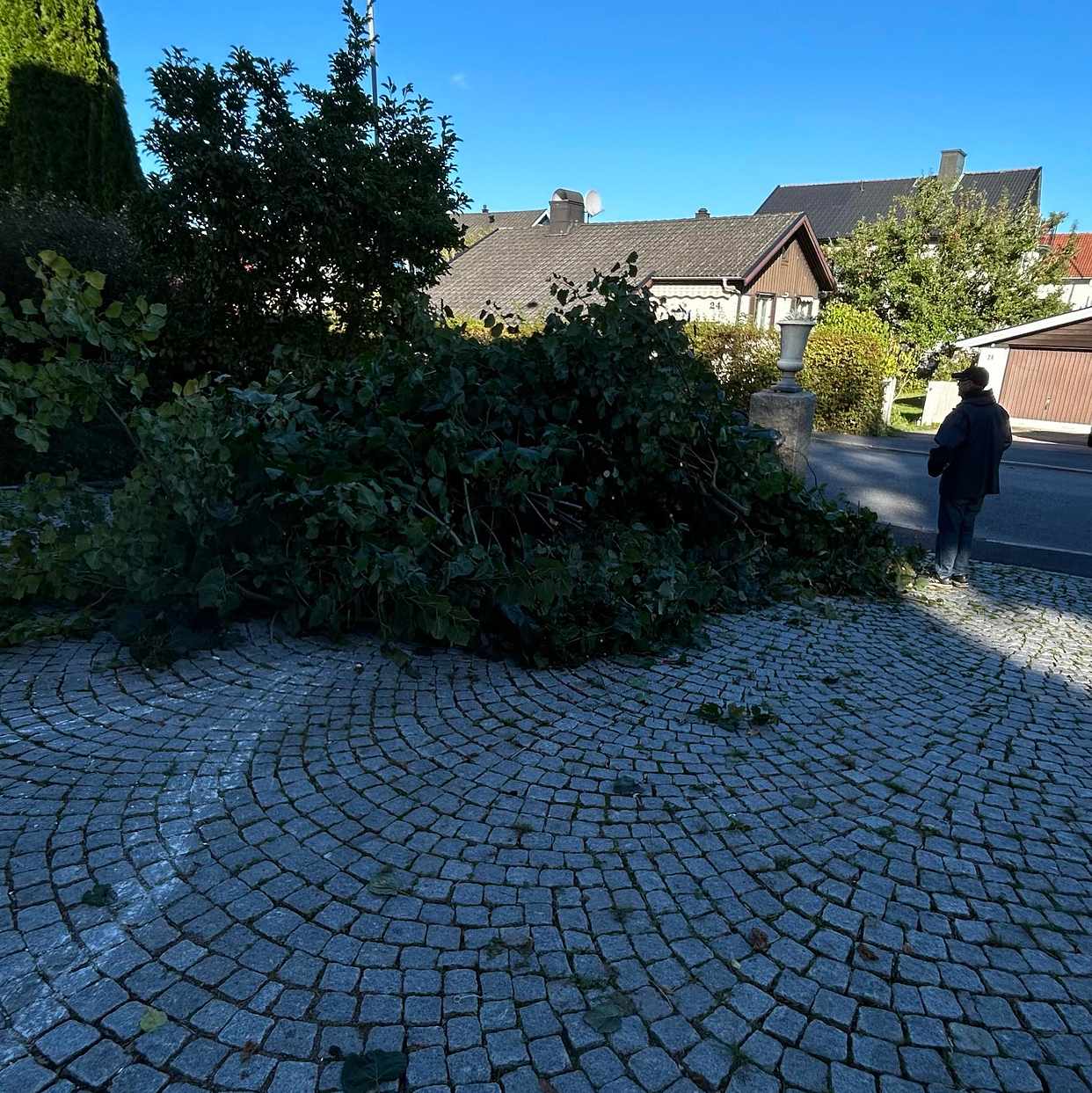 image of Grenar - Göteborg