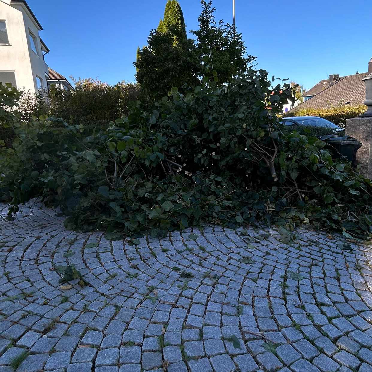 image of Grenar - Göteborg