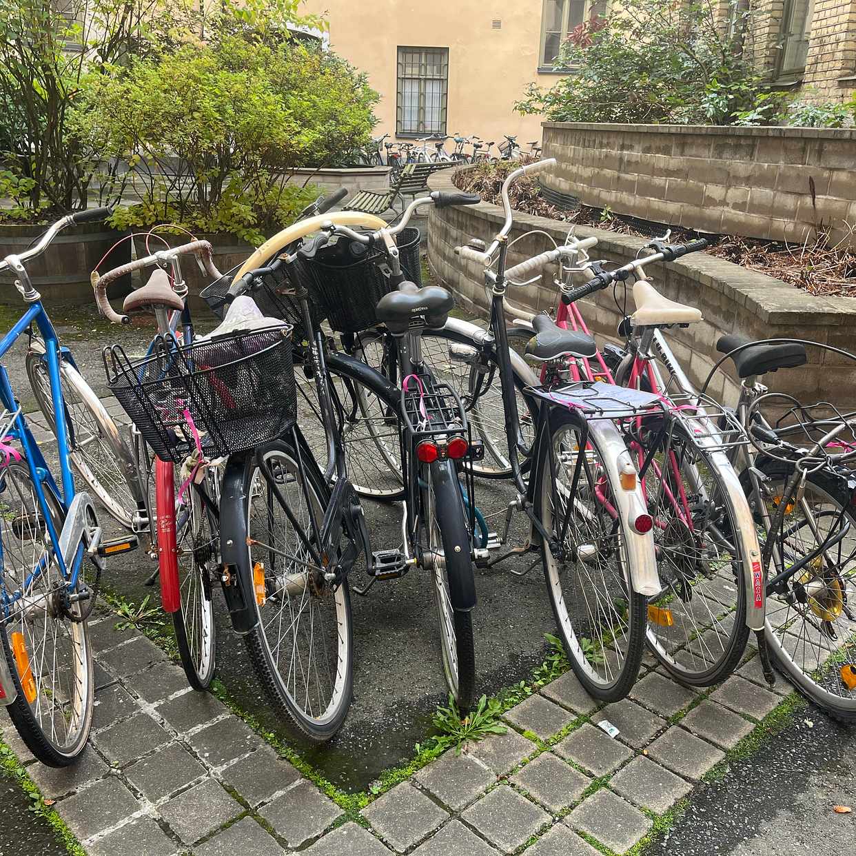 image of 7 st cyklar ska kasseras - Stockholm