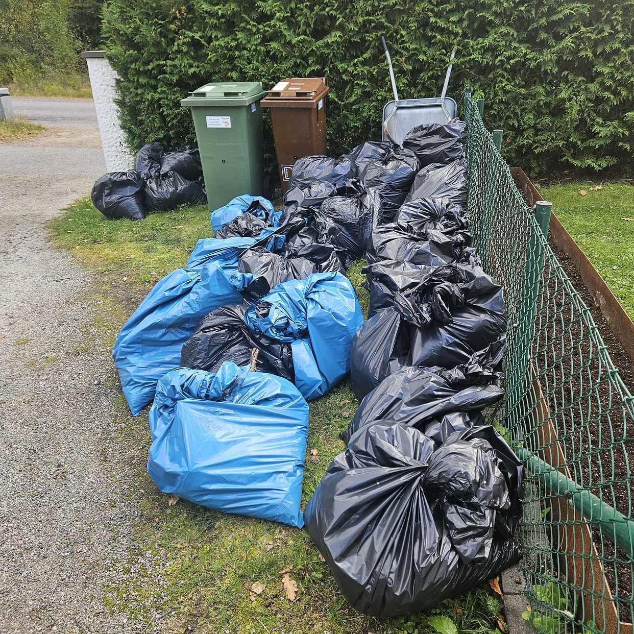 image of Trädgårdsavfall - Handen