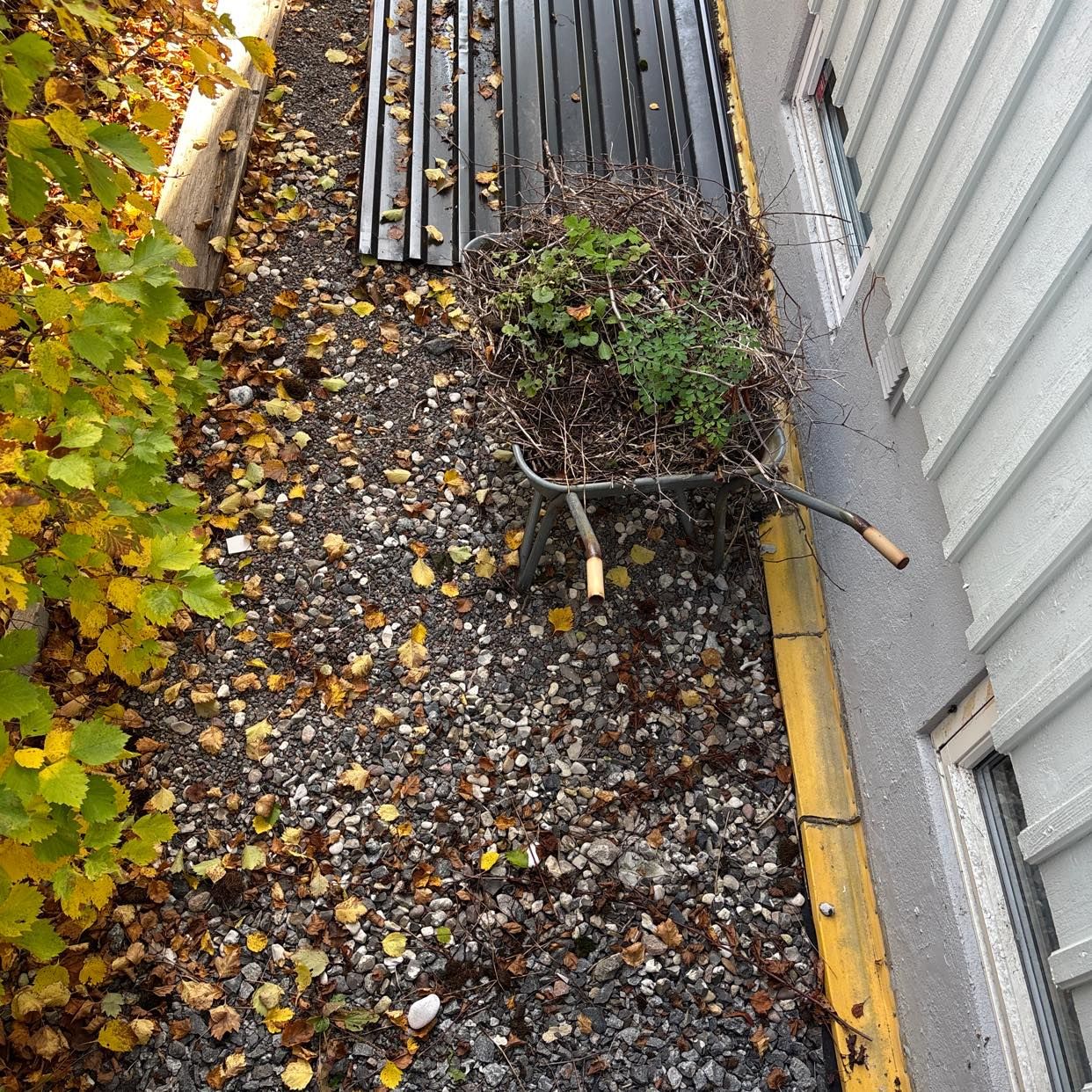 image of Need to throw the bushes - Enskede