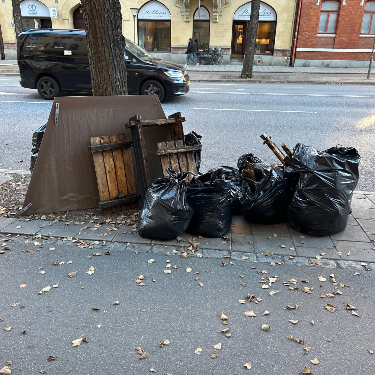 image of Gardenwaste, large plates - Norrmalm