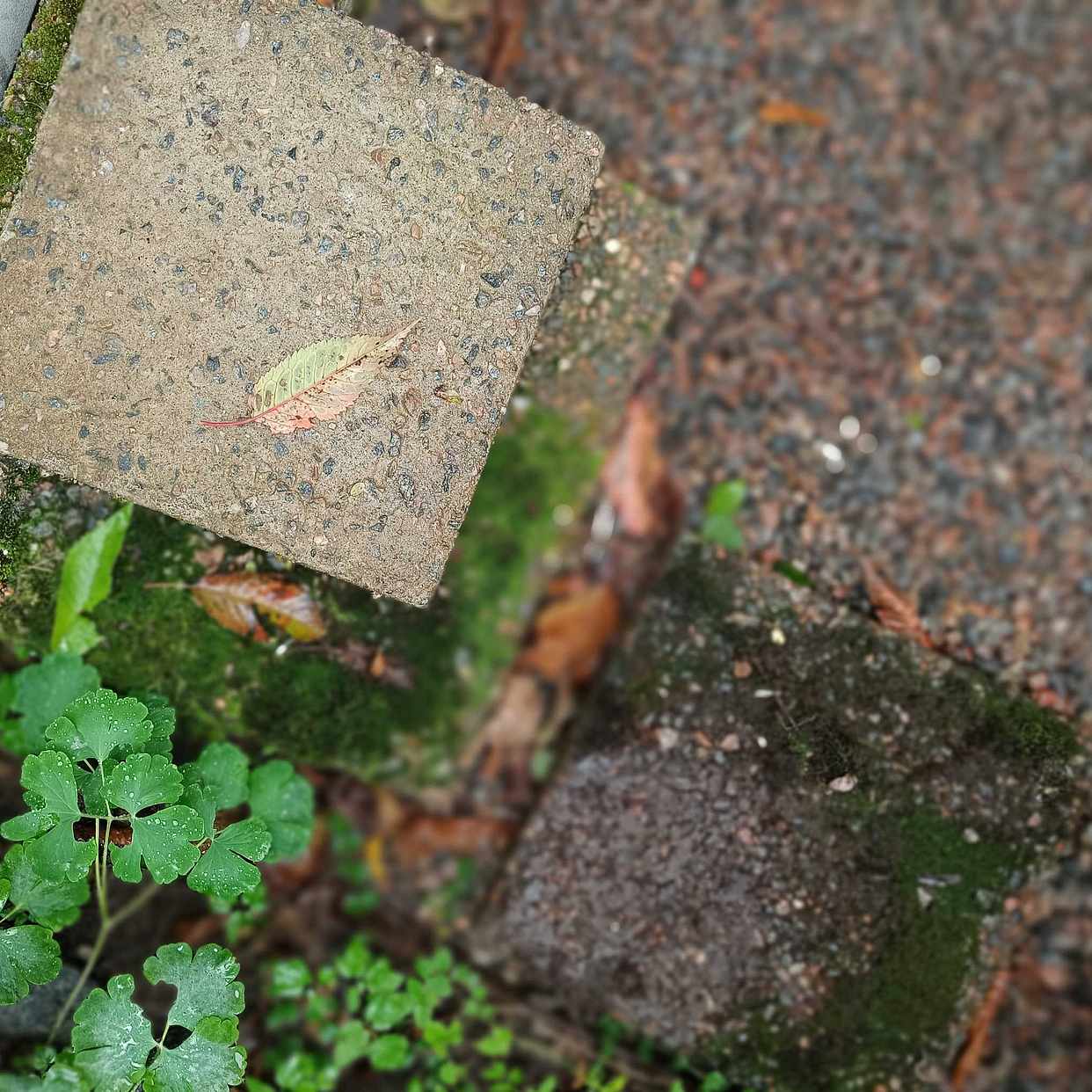 image of Avfall till Alelyckan - Gunnilse