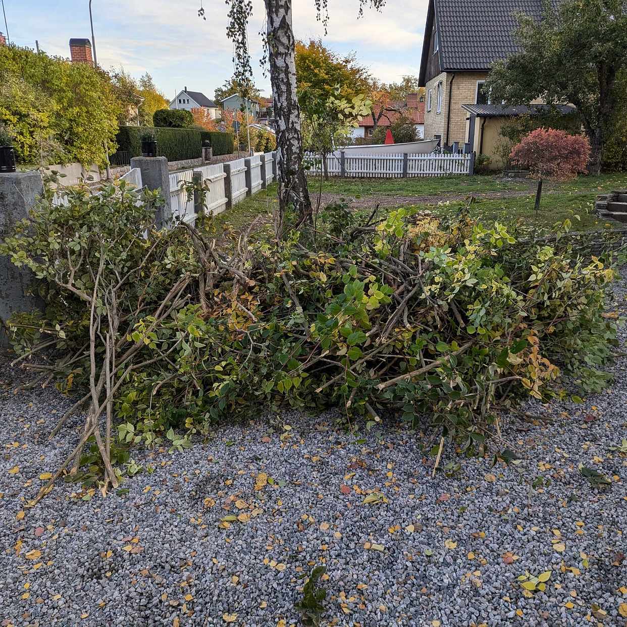 image of Grenar - Älvsjö