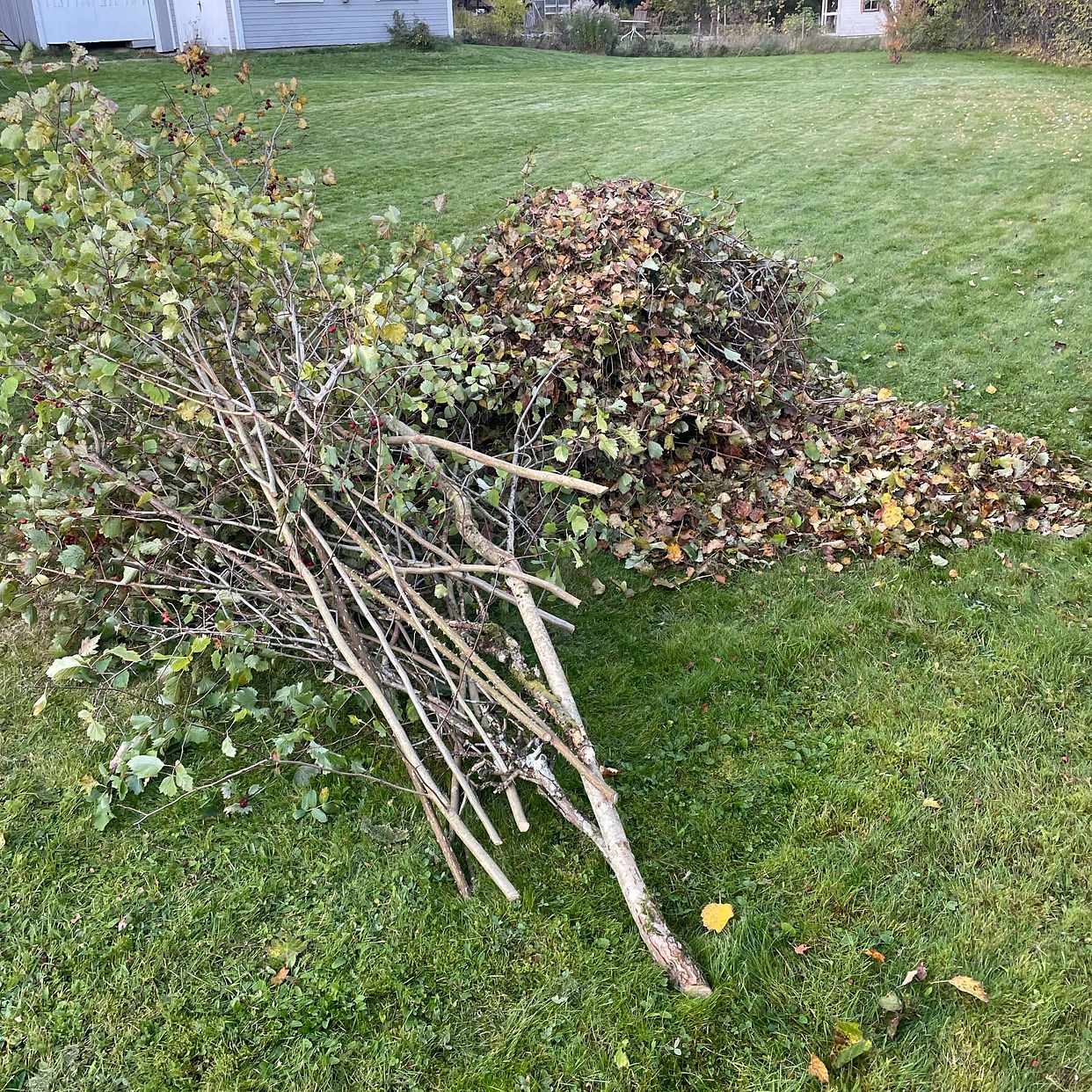 image of Hämta Trädgårdsavfall - Hälleforsnäs