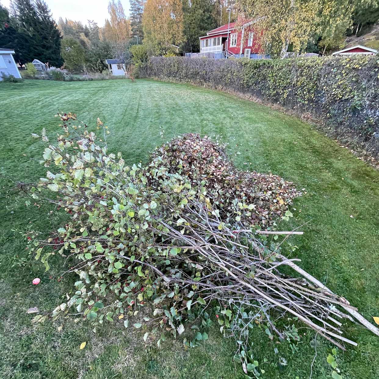 image of Hämta Trädgårdsavfall - Hälleforsnäs