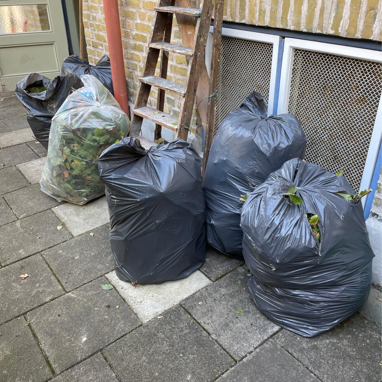 image of 10 säckar trädgårdsavfall - Malmö