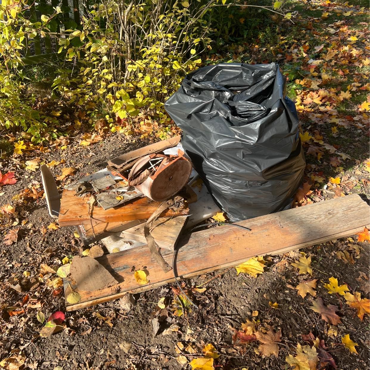 image of Det som tiptap glömde + g - Drottningholm