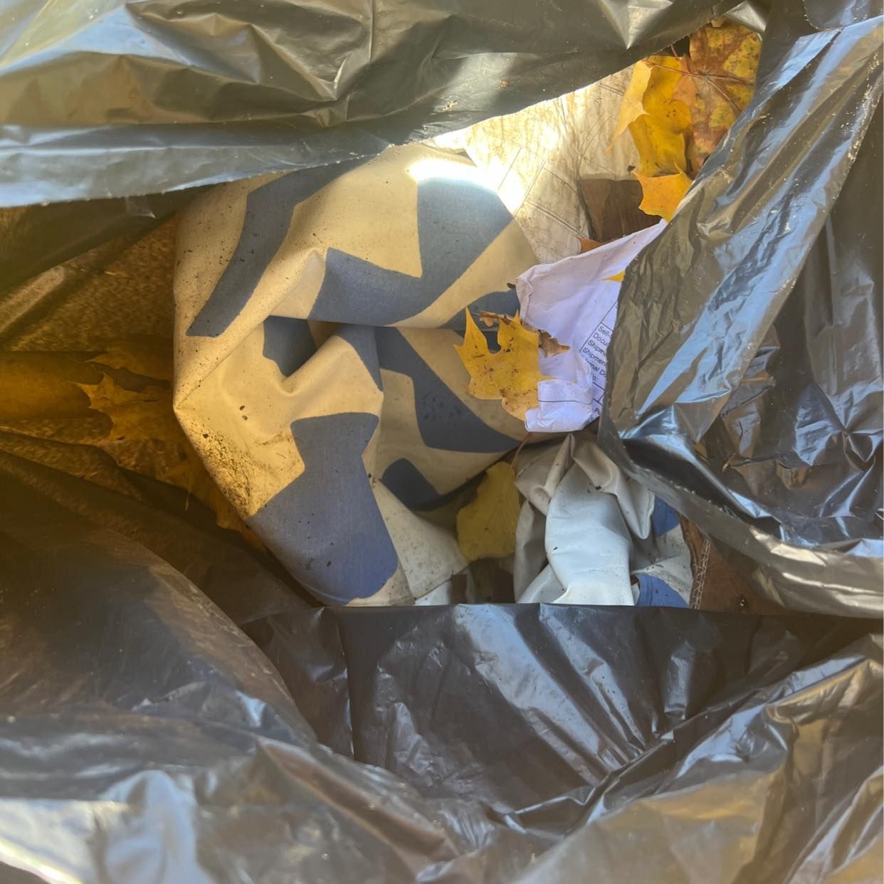 image of Det som tiptap glömde + g - Drottningholm