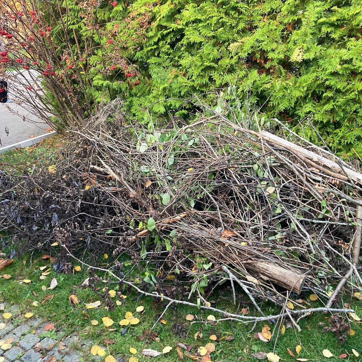 image of Trädgårdsavfall - Huddinge