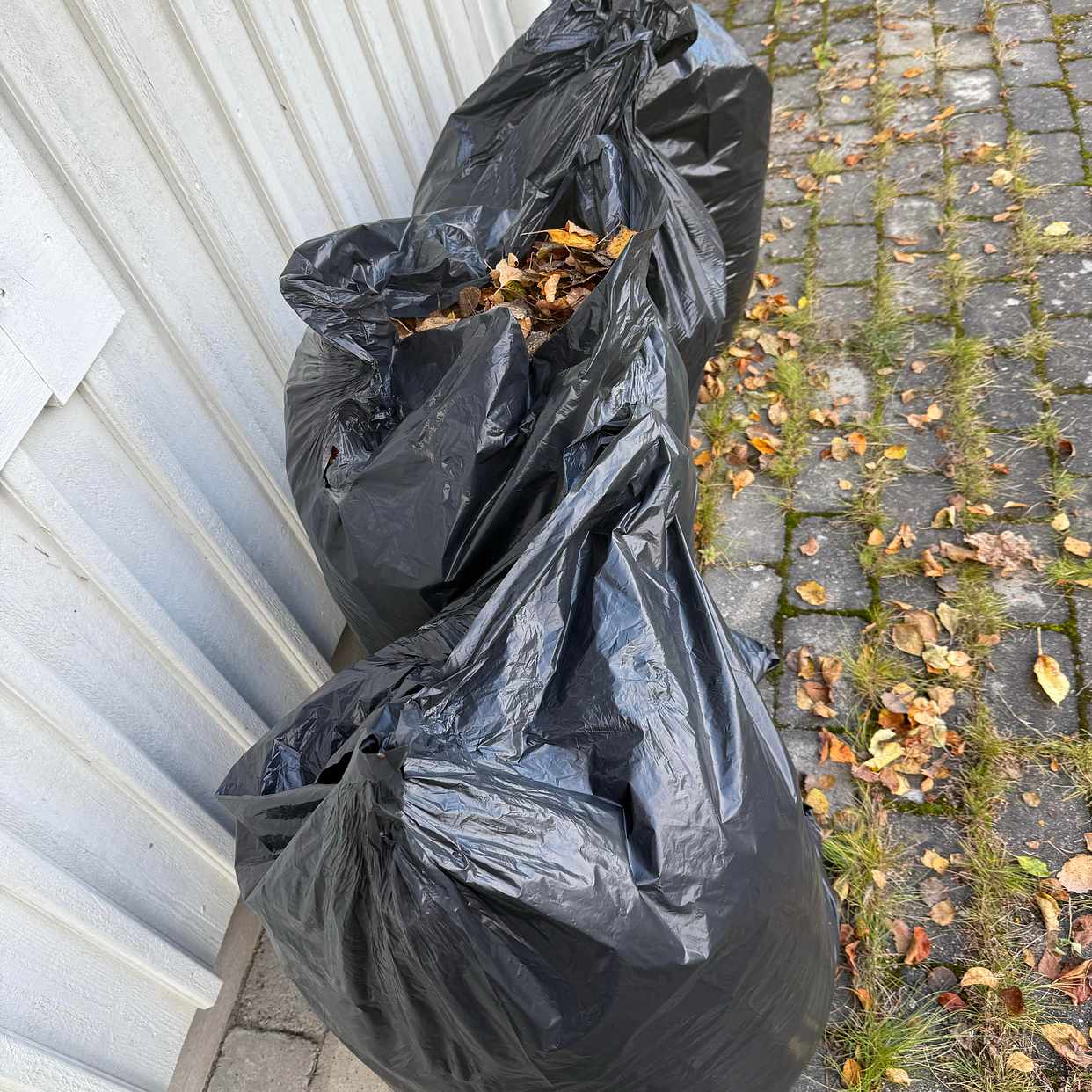 image of Löv och äpplen - Huddinge