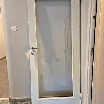 image of 1 dörr, glas  - 