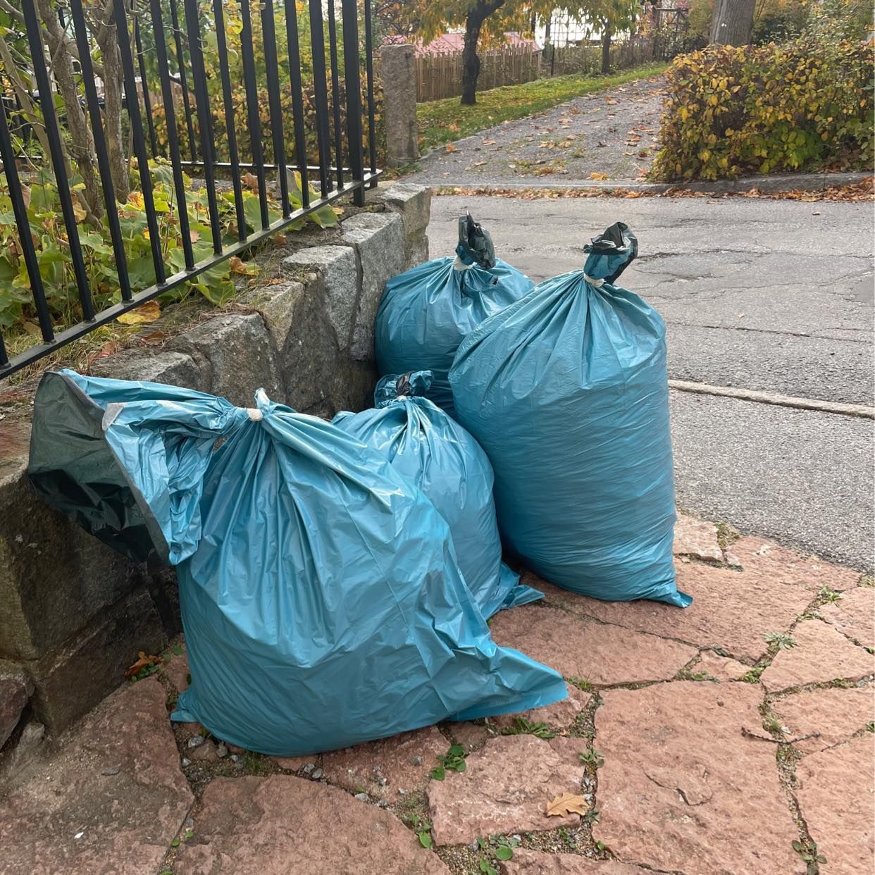 image of 4 bags of leaves - Bromma