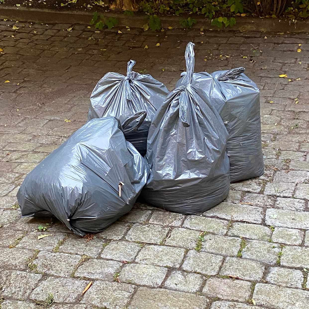image of Remove garden waste - Stockholm