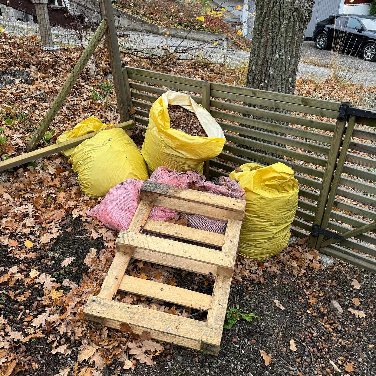 image of Trädgårdsavfall i sopsäck - Boo